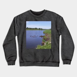 Ducks & Loons in Nature Crewneck Sweatshirt